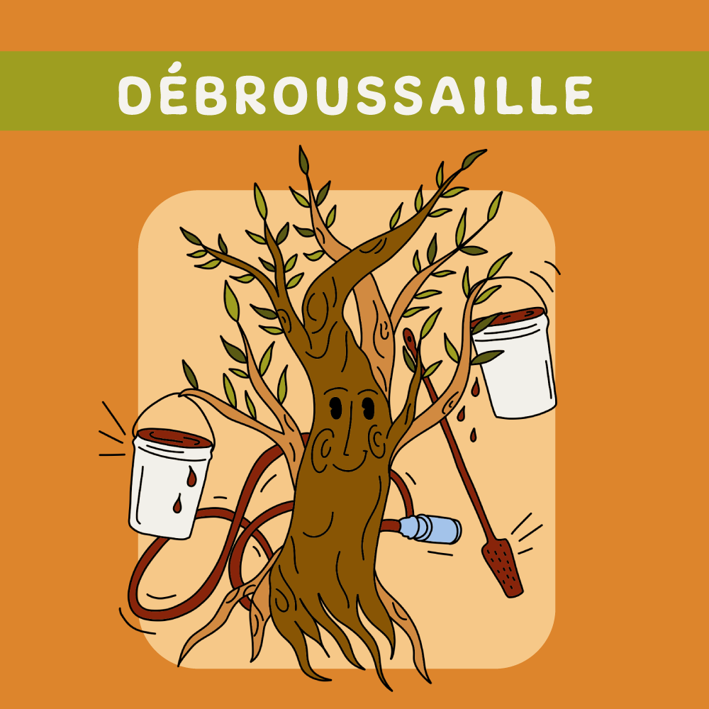 À Outrance - Débroussaille
